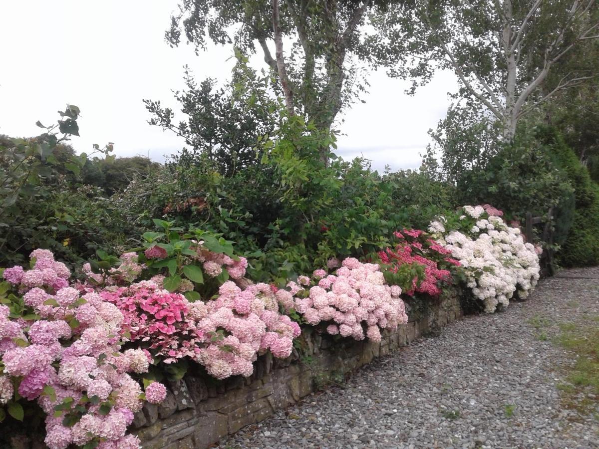 Devenish Lodge B&B Ballinrobe Exterior foto