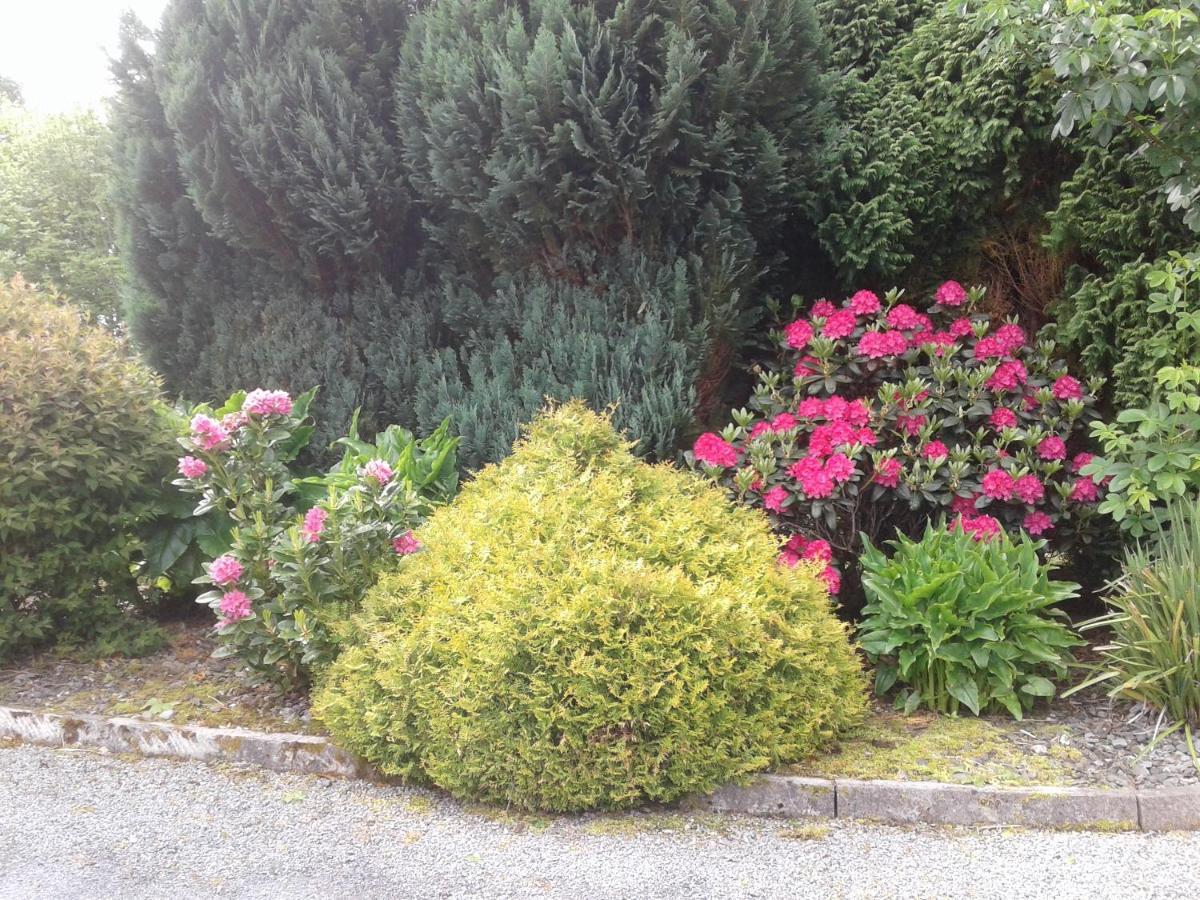 Devenish Lodge B&B Ballinrobe Exterior foto