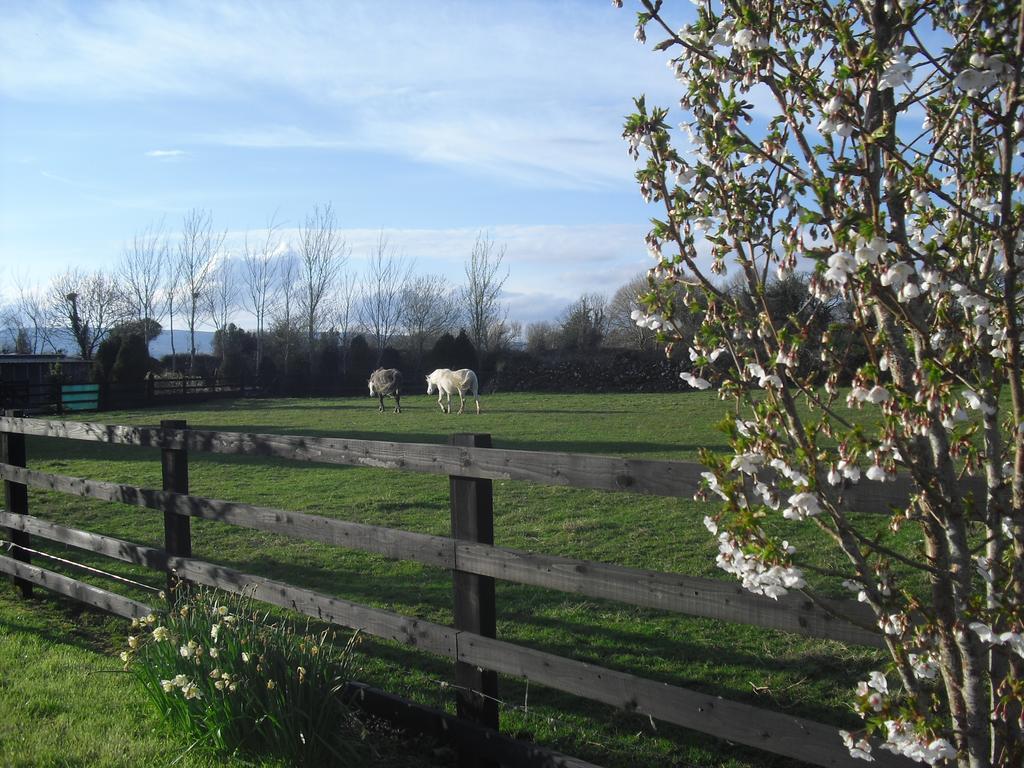 Devenish Lodge B&B Ballinrobe Exterior foto